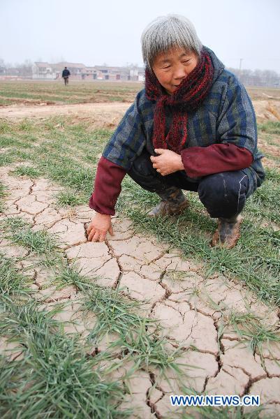 A woman inspects the drought-hit farmland in Huangzhuang County, central China&apos;s Henan Province, Jan. 27, 2011. The central government has already allocated 4 billion yuan (608 million U.S.dollars) for grain production and rural water conservation projects, according to a statement issued after a State Council executive meeting presided over by Premier Wen Jiabao on Wednesday.