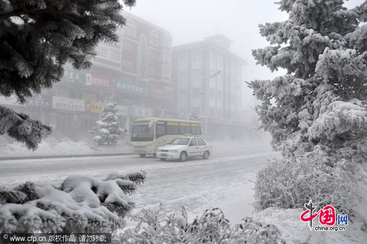 Cars are seen at -46.6℃ outdoor in in Yakeshi, Inner Mongolia of China, January 15, 2011. [Photo/CFP]