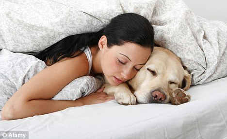 Cuddling with pets puts you at risk of catching some icky bugs.
