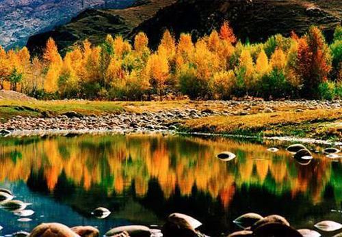 Ha'nasi Nature Reserve lies in the northern part of Burqin County in the Xinjiang Uygur Autonomous Region. [lotour.com]