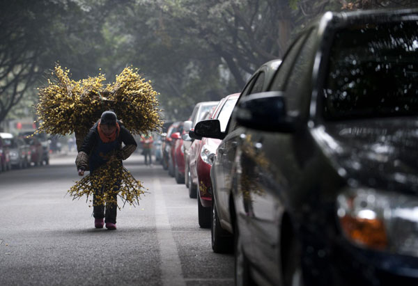 Zhou Rong carries a basket of wintersweet to sell on a street of Chongqing, Jan 29, 2011. [Photo/Xinhua]