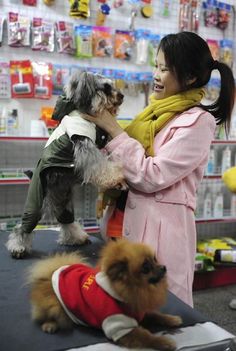 A worker at a pet care store takes care of puppies left behind by customers in Qionghai, South China&apos;s Hainan province, Jan 28, 2011. Pet care businesses have been busy as many pet owners leave cities for their hometowns for the Spring Festival. [Photo/Xinhua]