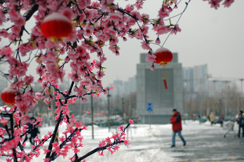 It is the first snow in Beijing this winter, which arrives Wednesday as the latest snowfall in 60 years. [Xinhua]