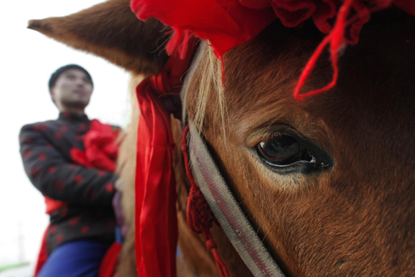 Liu Jian rides a horse during his traditional Chinese wedding in Dong&apos;an at the central province of Henan, February 9, 2011. [China Daily/Agencies]