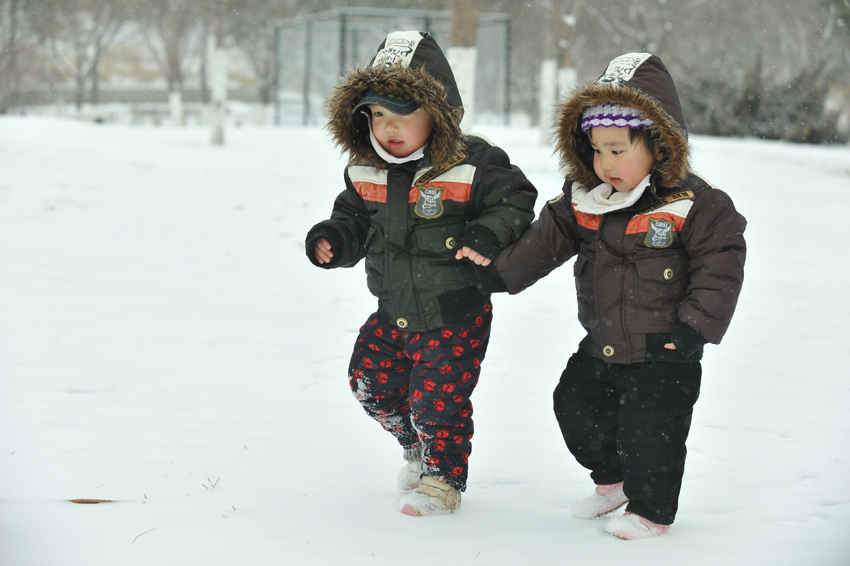 It is the first snow in Beijing this winter, which arrives Wednesday as the latest snowfall in 60 years. This photo is taken on Feb. 10, 2011. [Xinhua] 