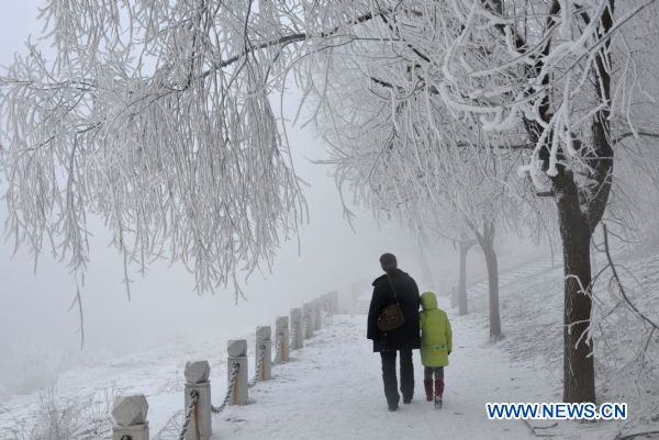 Photo taken on Feb. 13, 2011 shows tourists taking pictures of rimed trees in Jilin City, northeast China's Jilin Province. [Xinhua/Li Fengshuang]