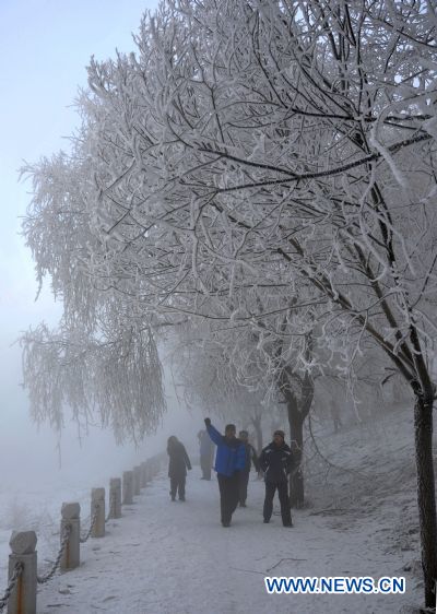 Photo taken on Feb. 13, 2011 shows tourists taking pictures of rimed trees in Jilin City, northeast China's Jilin Province. [Xinhua/Li Fengshuang]