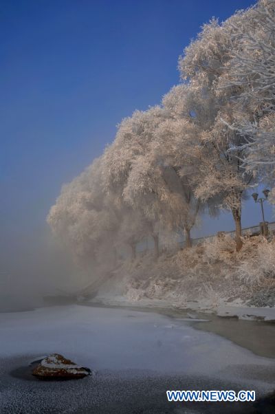 Photo taken on Feb. 13, 2011 shows tourists taking pictures of rimed trees in Jilin City, northeast China's Jilin Province. [Xinhua/Li Fengshuang]