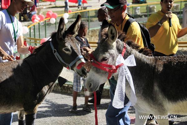 Two donkeys get married on the eve of Valentine&apos;s Day at a zoo in Santo Domingo, capital of Dominican Republic, on Feb. 13, 2011. [Xinhua]