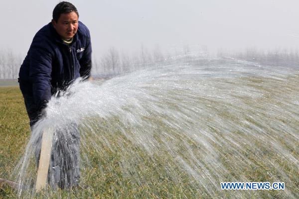 A farmer waters a wheat field in Jiangdong Village of Xuchang City, central China's Henan Province, Feb. 14, 2011. Farmers in Xuchang strived to fight against drought as the weather gets warm.
