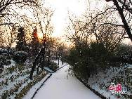 Photo taken on Feb.12, 2011 shows the beautiful winter scenery in the Zizhuyuan Park in Beijing. Entering the park, visitors find themselves in a bamboo world: the entrance, tables and chairs are made of bamboo; even the bridges and pavilions are decorated with bamboo. [Photo by Xiaobo]