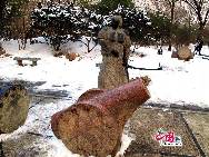 Photo taken on Feb.12, 2011 shows the beautiful winter scenery in the Zizhuyuan Park in Beijing. Entering the park, visitors find themselves in a bamboo world: the entrance, tables and chairs are made of bamboo; even the bridges and pavilions are decorated with bamboo. [Photo by Xiaobo]