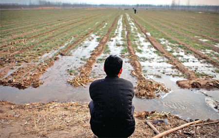 A farmer watches as water trickles into the furrows of his wheat field. This water came from a nearby reservoir, at Beichen village in suburban Jining, Shandong province. [China Daily]