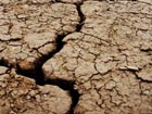 China: Drought plagues 6.75 mln hectares of crops