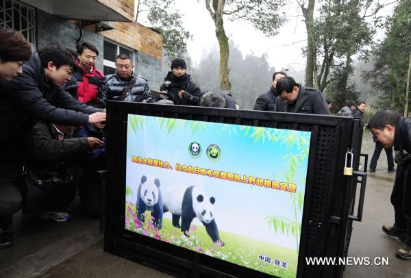 People gather around a panda cage as to see &apos;the Chinese treasure&apos; off in Ya&apos;an, southwest China&apos;s Sichuan Province, Feb. 20, 2011. A female giant panda named &apos;Xiannu&apos; and a male named &apos;Bili&apos; will leave China for Japan&apos;s Ueno zoo on Feb. 21, 2011, for a ten-year-long exhibition in Tokyo.