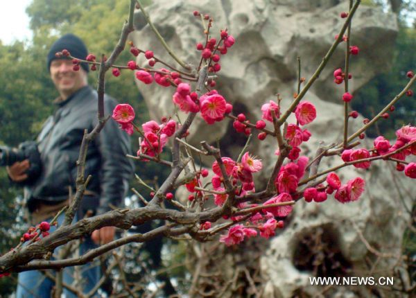 A tourist views plum blossoms in Suzhou, east China&apos;s Jiangsu Province, Feb. 20, 2011. As the temperature rose, local residents went outdoors to enjoy warm spring weather in Suzhou.