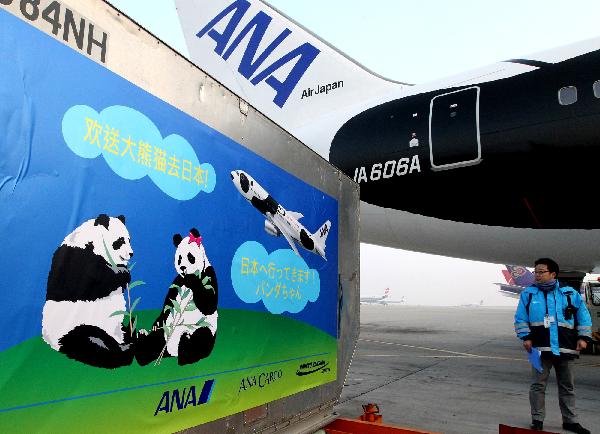 A panda cage is seen at Shanghai Pudong Airport in Shanghai, east China, Feb. 21, 2011. 