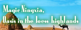Magic Ningxia, oasis in the loess highlands