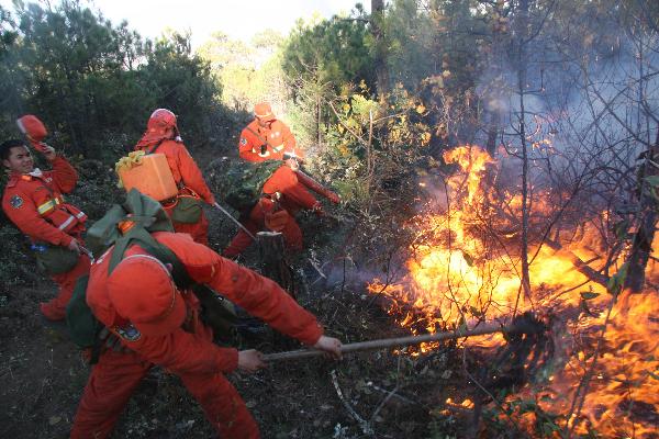 Firemen try to extinguish a forest fire in Huangshan township of Lijiang City, southwest China&apos;s Yunnan Province, Feb. 28, 2011. A wildfire broke out here in dawn on Monday. [Xinhua] 