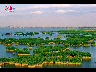 The Sand Lake, a national 5A-level tourist attraction in Ningxia Hui Autonomous Region, is a picturesque world of half lake and half desert. Its scenery in spring is marvelous with quiet, clear water and endless shiny green reeds under the sunshine. [Courtesy of Sand Lake Scenic Spot]