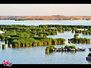 The Sand Lake, a national 5A-level tourist attraction in Ningxia Hui Autonomous Region, is a picturesque world of half lake and half desert. Its scenery in spring is marvelous with quiet, clear water and endless shiny green reeds under the sunshine. [Courtesy of Sand Lake Scenic Spot]