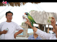 About 56 miles north of Yinchuan, Ningxia, the national 5A-level tourist attraction Sand Lake is a recreational center with all kinds of the sand-based games, such as camel riding, sand sliding and many colorful water sports, such as swimming, fishing, seaplane and skydiving. It has become a popular holiday getaway. [Courtesy of Sand Lake Scenic Spot]