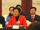 NPC deputies hold panel discussions to share views on economic development