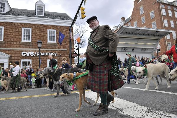 People present their Irish wolfhounds during the 30th annual Alexandria St. Patrick&apos;s Day Parade in Alexandria, Virginia, the United States, March 5, 2011. 