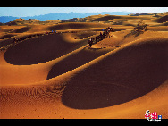 Shapotou, a top tourist spot in Zhongwei City of Ningxia Hui Autonomous Region, is regarded as one of the five most beautiful deserts in China. The rough deserts, limpid lakes and vast grasslands consitute a huge amazing picture of nature. [Courtesy of Shapotou Scenic Spot]