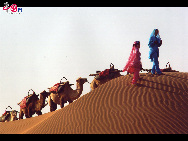 Shapotou, a top tourist spot in Zhongwei City of Ningxia Hui Autonomous Region, is regarded as one of the five most beautiful deserts in China. The rough deserts, limpid lakes and vast grasslands consitute a huge amazing picture of nature. [Courtesy of Shapotou Scenic Spot]