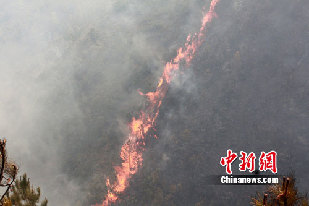 A fire breaks out Tuesday, March 8, 2011 in a forest in Baoshan City, southwest China's Yunnan Province. [Photo: Chinanews.com] 
