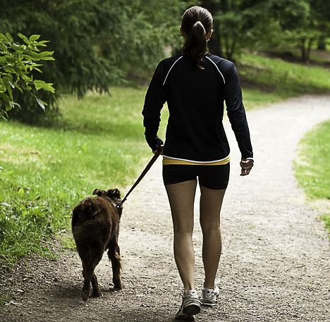 Dog owners were found to be more active overall.