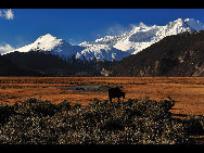 Rawu (also known as Rawok) is the name of a small town and village in Nyingchi Prefecture of the Tibet Autonomous Region of China.[KingzenQue/forums.nphoto.net]