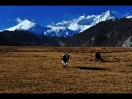 Rawu (also known as Rawok) is the name of a small town and village in Nyingchi Prefecture of the Tibet Autonomous Region of China.[KingzenQue/forums.nphoto.net]