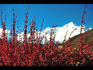 Rawu (also known as Rawok) is the name of a small town and village in Nyingchi Prefecture of the Tibet Autonomous Region of China.[KingzenQue/forums.nphoto.net]