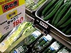Radiation detected in farm produce in Japan