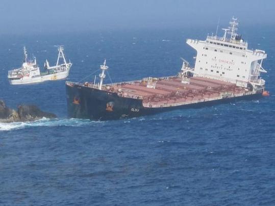 The stricken ship, which has now broken into two pieces. [wildlifeextra.com]