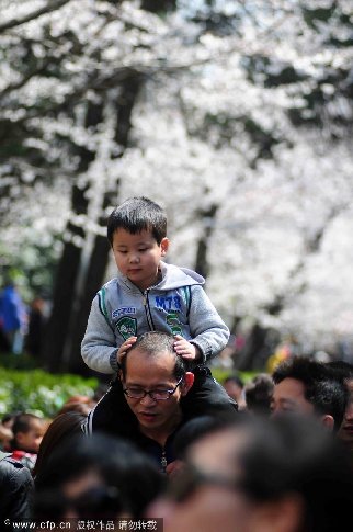 Thousands of visitors pack Wuhan University's campus to see its cherry blossoms in Wuhan, Hubei Province, on Sunday, March 27, 2011. [CFP] 