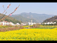 Wuyuan, known as the 'most beautiful countryside in China', is home to at least 50 old villages.Villages lie along small rivers, trees stand on riverbanks, and old farmers leisurely drive ducks toward a pond, forming a typical Chinese countryside scene. [xihongtao/jingnei.net]