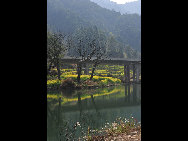 Wuyuan, known as the 'most beautiful countryside in China', is home to at least 50 old villages.Villages lie along small rivers, trees stand on riverbanks, and old farmers leisurely drive ducks toward a pond, forming a typical Chinese countryside scene. [xihongtao/jingnei.net]