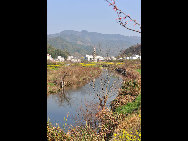 Wuyuan, known as the 'most beautiful countryside in China', is home to at least 50 old villages.Villages lie along small rivers, trees stand on riverbanks, and old farmers leisurely drive ducks toward a pond, forming a typical Chinese countryside scene. [xihongtao/jingnei.net]
