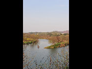 Wuyuan, known as the 'most beautiful countryside in China', is home to at least 50 old villages.Villages lie along small rivers, trees stand on riverbanks, and old farmers leisurely drive ducks toward a pond, forming a typical Chinese countryside scene. [xihongtao/jingnei.net]