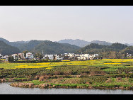 Wuyuan, known as the 'most beautiful countryside in China', is home to at least 50 old villages.Villages lie along small rivers, trees stand on riverbanks, and old farmers leisurely drive ducks toward a pond, forming a typical Chinese countryside scene. [xihongtao/jingnei.net]