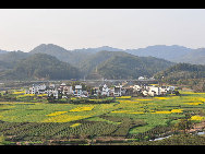 Wuyuan, known as the 'most beautiful countryside in China', is home to at least 50 old villages.Villages lie along small rivers, trees stand on riverbanks, and old farmers leisurely drive ducks toward a pond, forming a typical Chinese countryside scene. [xihongtao/jingnei.net]