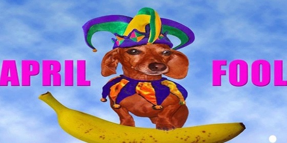 Top 10 fools on April 1