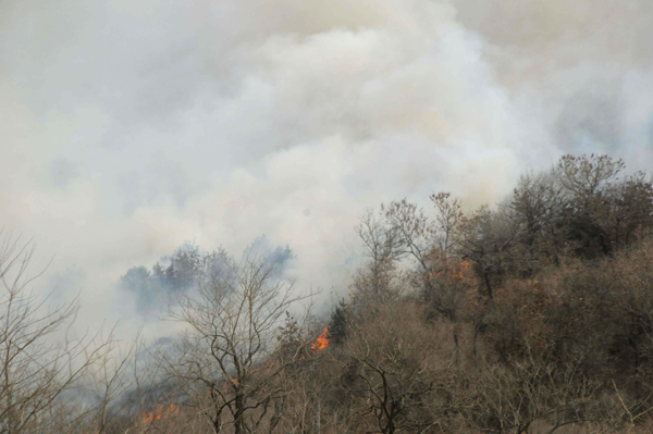 A mountain fire has been raging for more than a day on an island near port city of Dalian, northeast China's Liaoning Province, on Friday. [Xinhua photo]