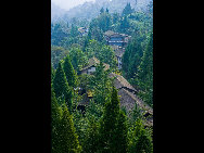 Qingcheng Mountain, known as the fifth most famous Taoist mountain in China, is located 68 kilometers west of Chengdu, central part of Sichuan Province. With the snow-covered Minshan Mountain in the background and the Chuanxi Plain in front, the Qingcheng Mountain covers an area of about 120 square kilometers, including 36 peaks covered with thick forests of trees and bamboo, 72 caves and 108 scenic spots. [如画/bbs.fengniao.com] 