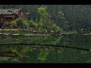 Qingcheng Mountain, known as the fifth most famous Taoist mountain in China, is located 68 kilometers west of Chengdu, central part of Sichuan Province. With the snow-covered Minshan Mountain in the background and the Chuanxi Plain in front, the Qingcheng Mountain covers an area of about 120 square kilometers, including 36 peaks covered with thick forests of trees and bamboo, 72 caves and 108 scenic spots.[血铸中华/bbs.fengniao.com]