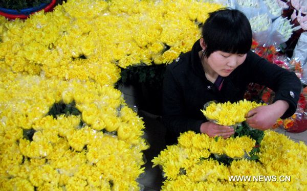 Yinchuan turns to greener Tomb Sweeping Day