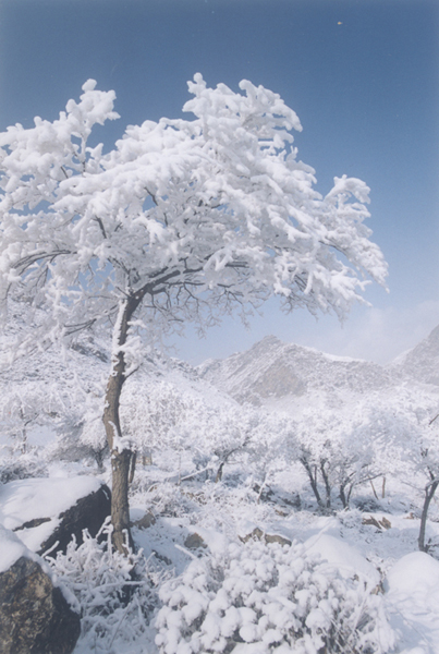 Amazing scenery at Suyukou National Forest Park